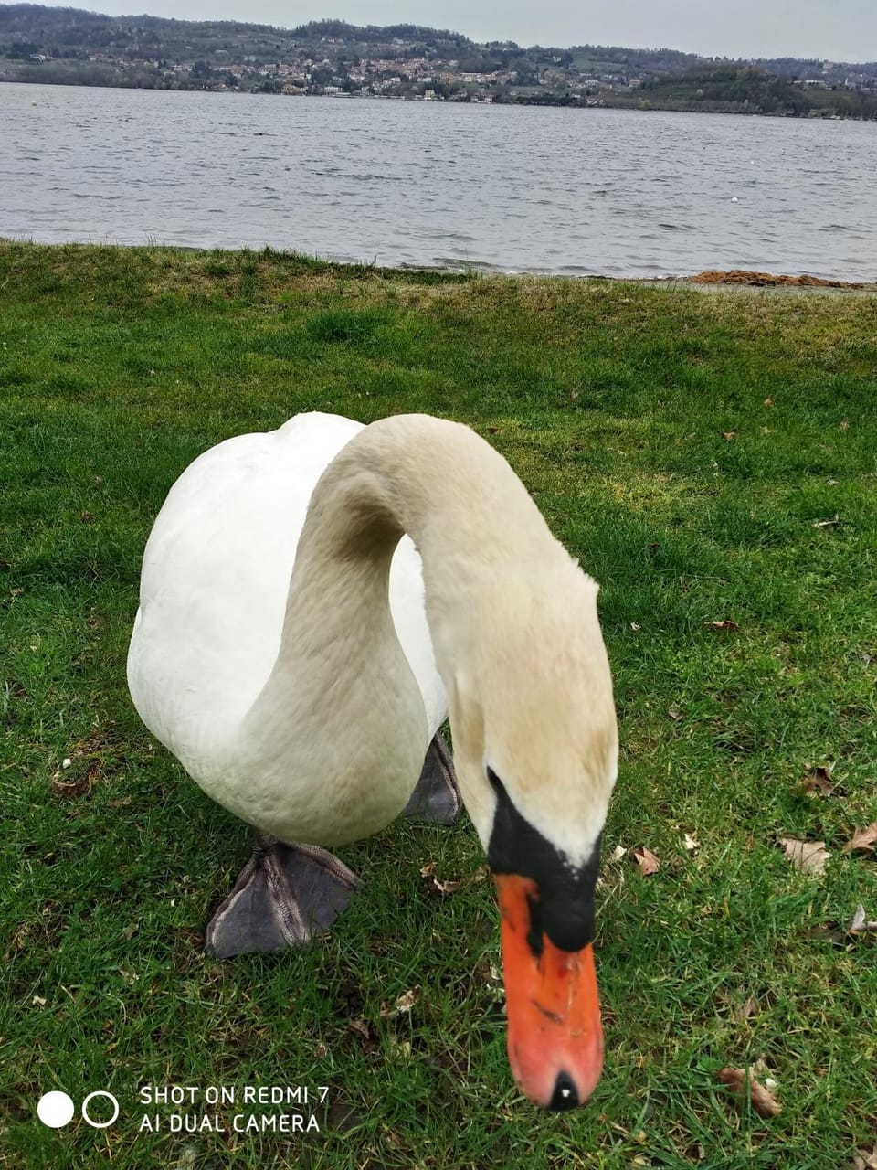 Campeggio Haway Campground/ 
RV Resort in Piedmont