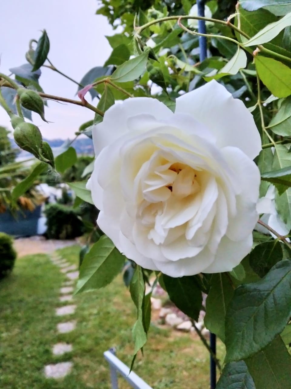 Campeggio Haway Campground/ 
RV Resort in Piedmont