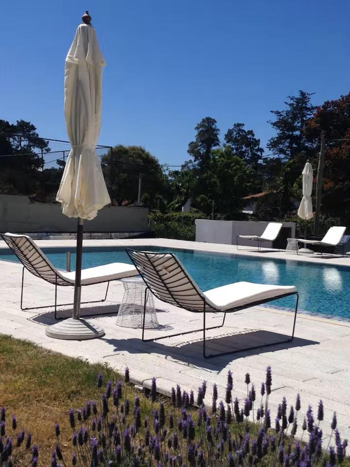 Garden, Swimming pool, Swimming pool, sunbed