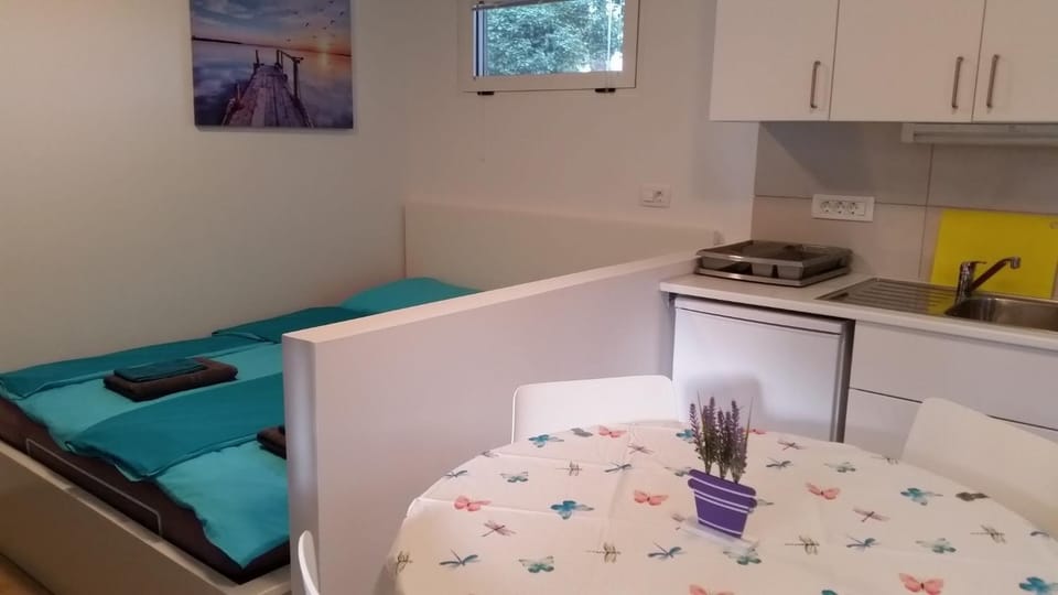 Kitchen or kitchenette, Bedroom