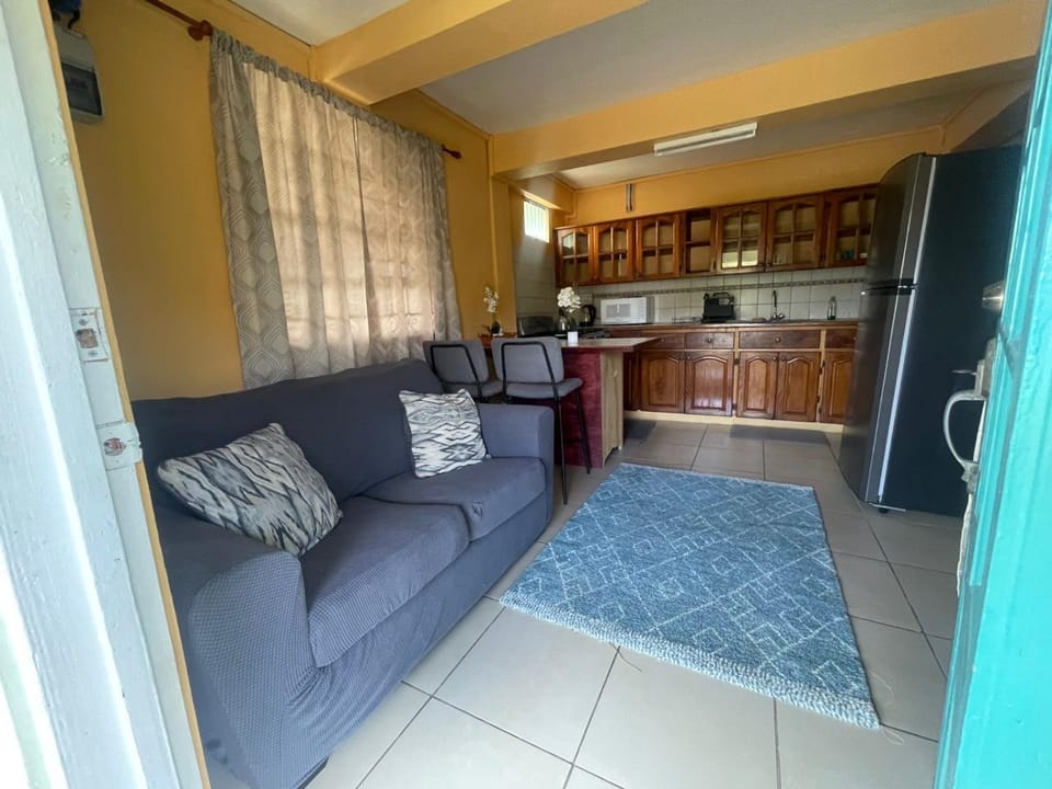 Naz Apartment Apartment in Saint George