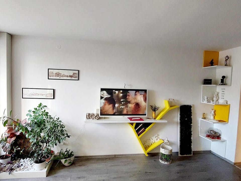 The Kiss Apartment Apartment in Timisoara