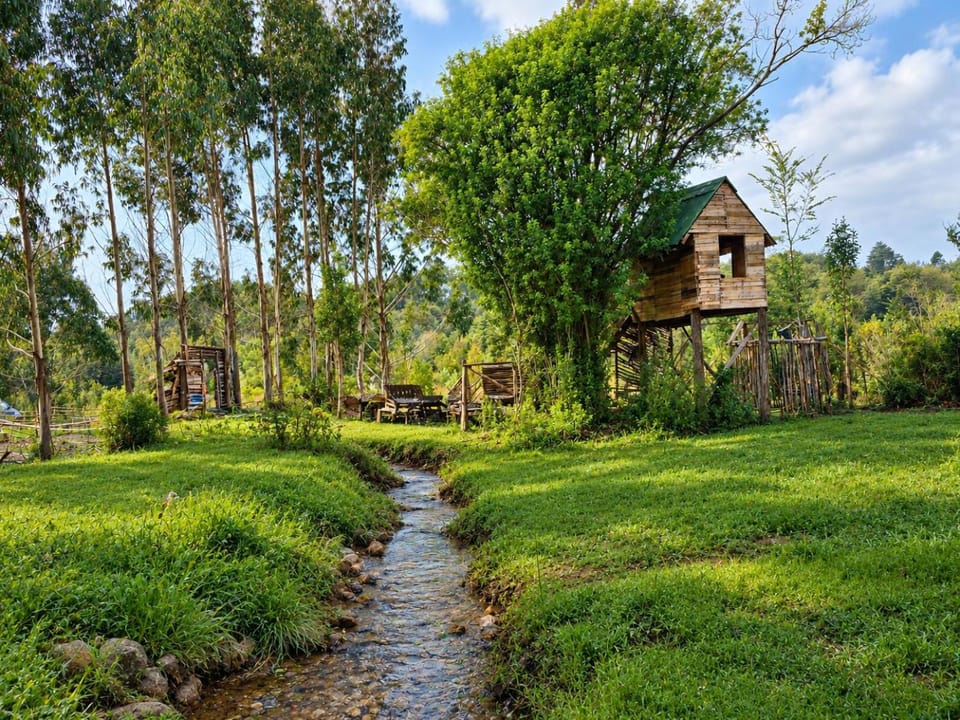 Parque Püllü Mapu Apartment in Los Lagos, Chile