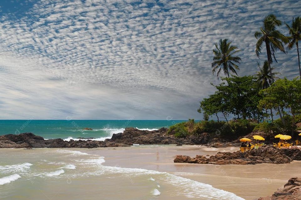 Gorgeous Beach front property Apartment in Ilhéus