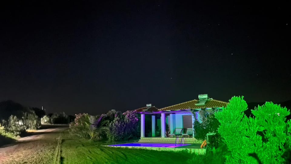 Property building, Night, Garden, Garden view