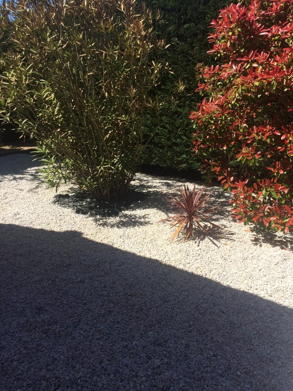 Chambres Les Passiflores Vacation rental in Vaux-sur-Mer
