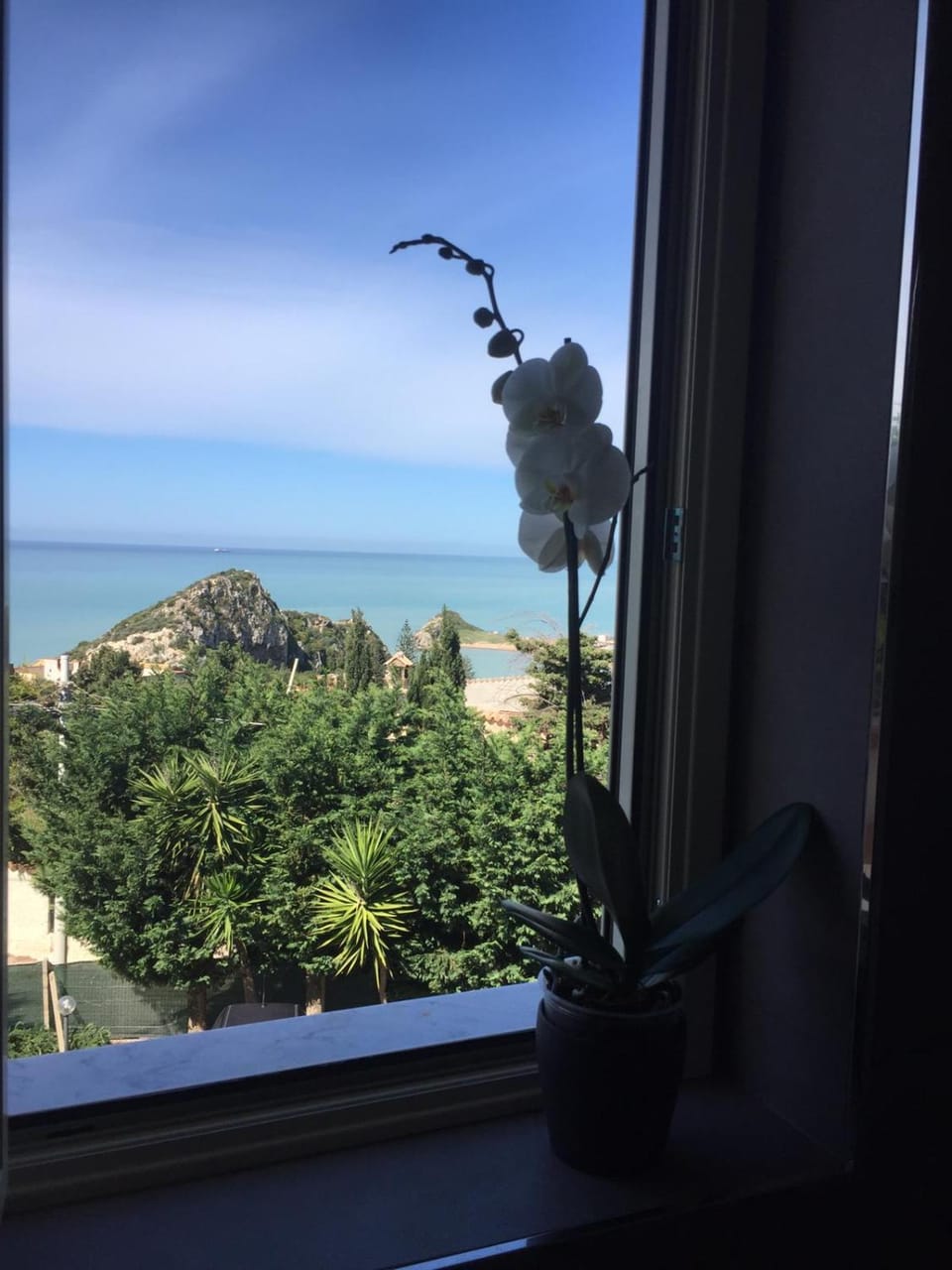 Sea view
