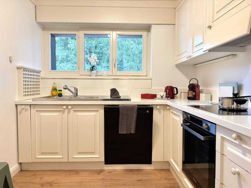 Kitchen or kitchenette, dishwasher, minibar, pet friendly, stove, toaster