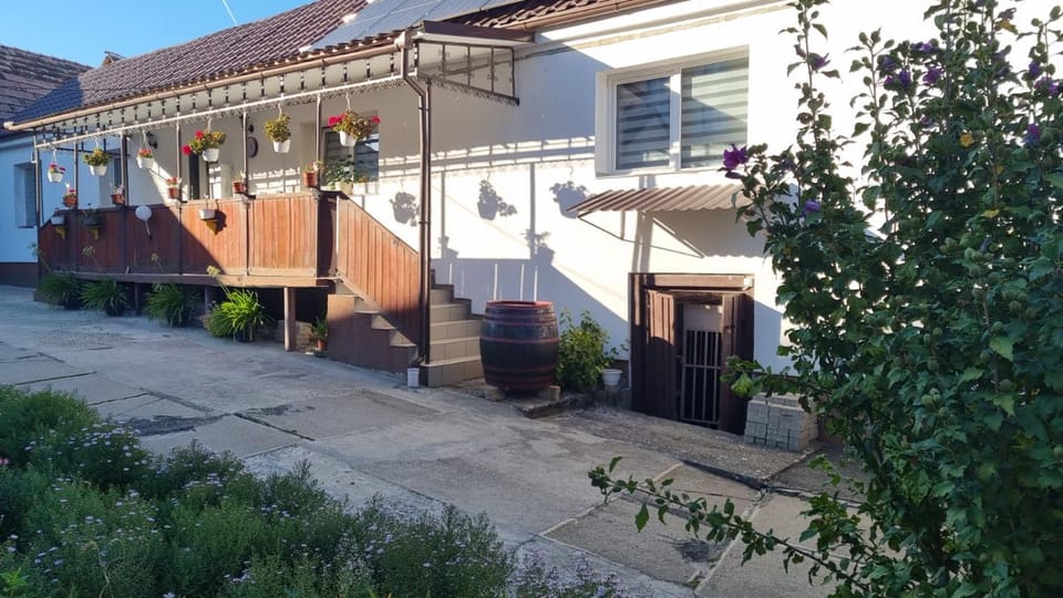 Casa MARIA Darlos House in Romania