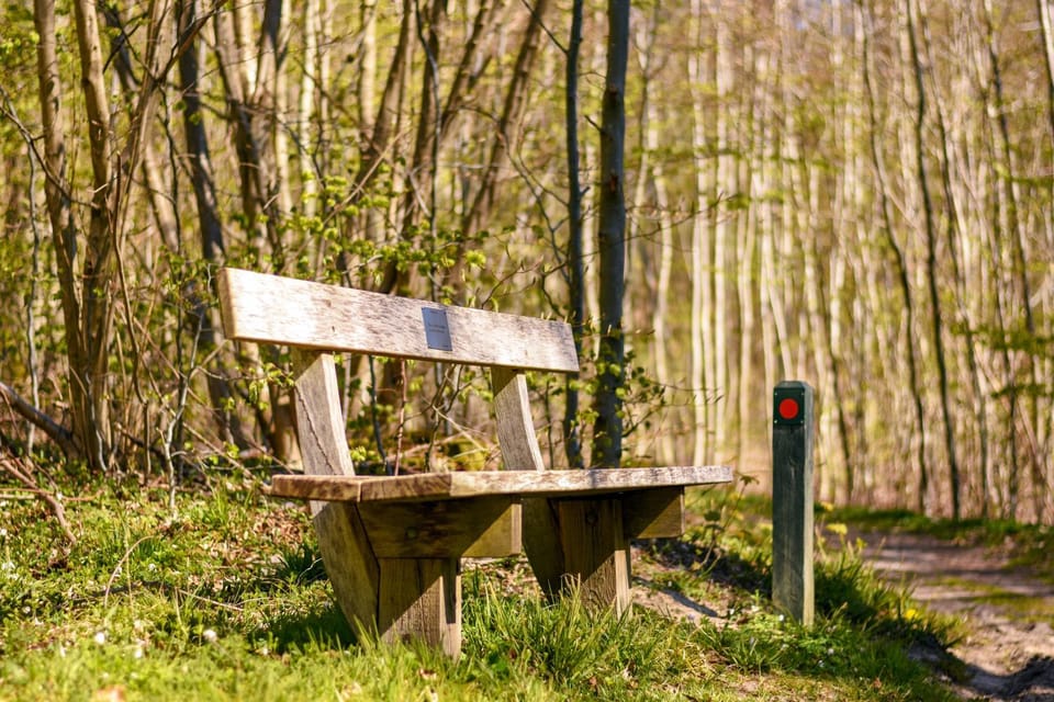 Garden, Decorative detail, Area and facilities