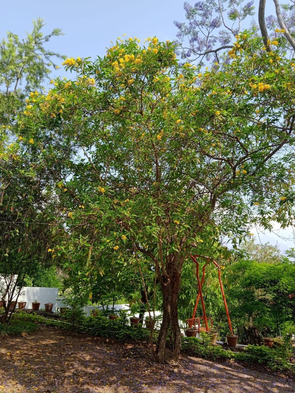 Serene Zest stays House in Kerala
