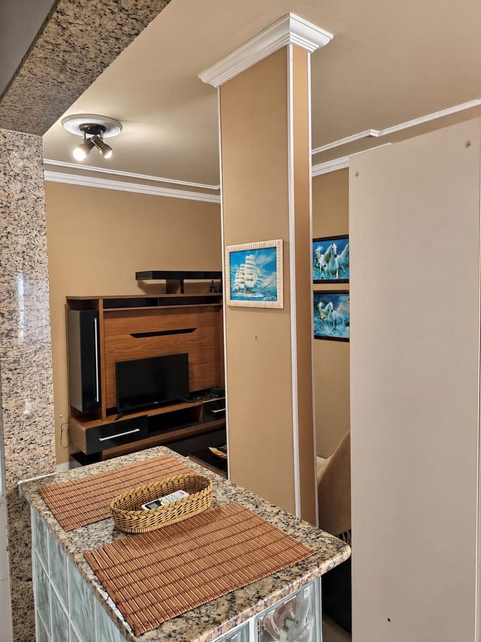 Studio VIP Apartment in Campos