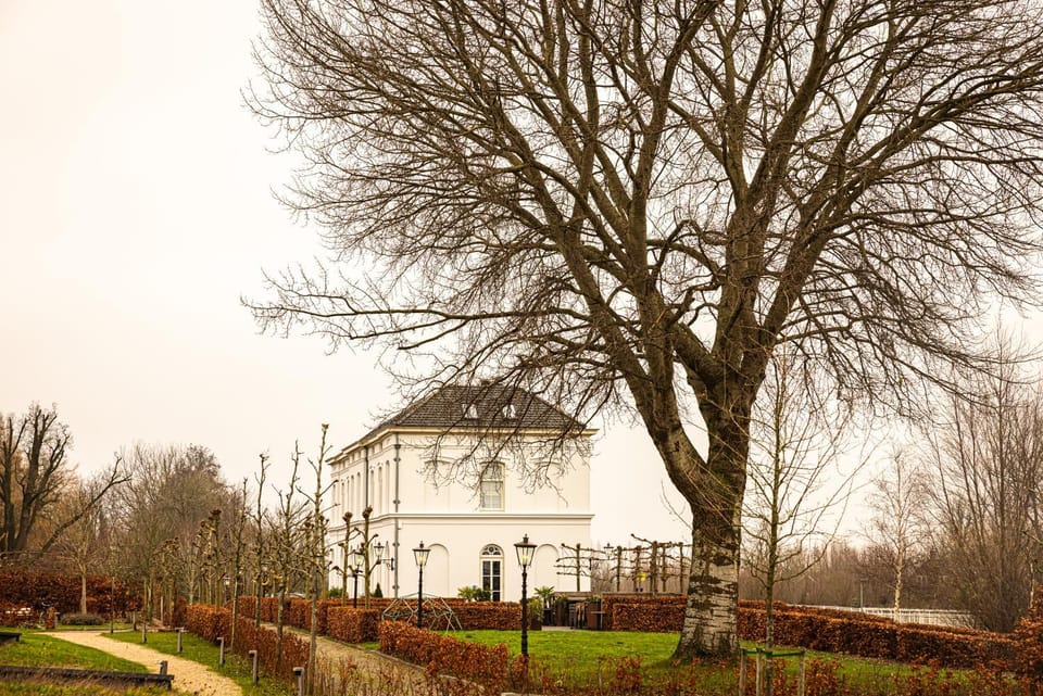 Winter, Garden