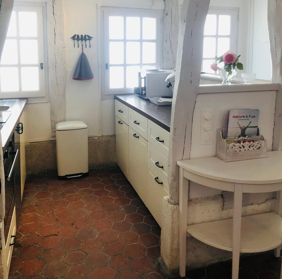 Kitchen or kitchenette, dishwasher, minibar, pet friendly, stove