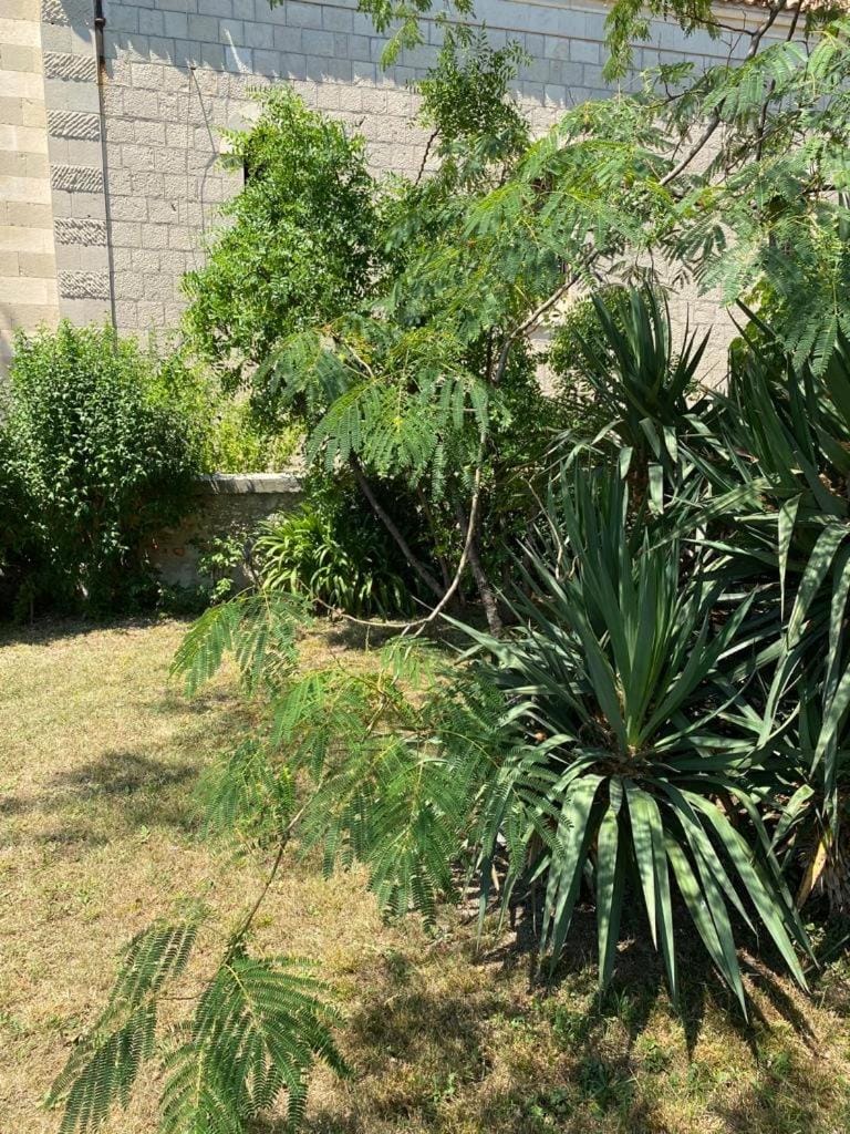 A big apartment for a big holiday! Apartment in Split-Dalmatia County