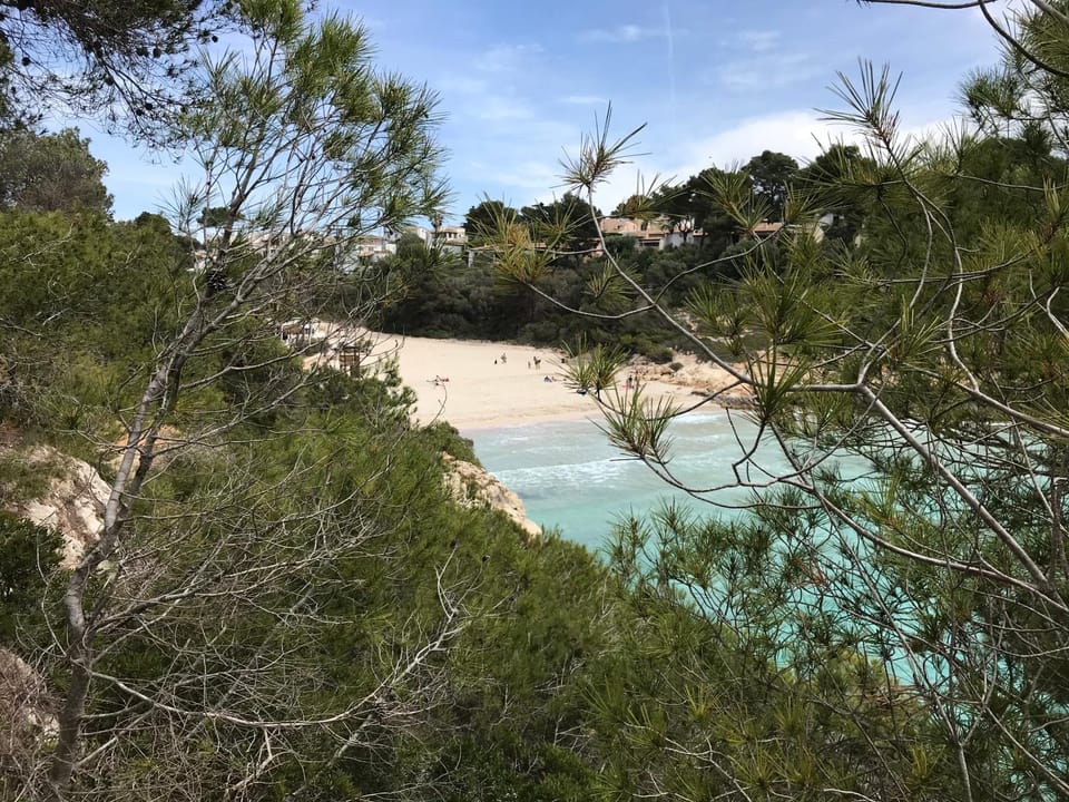 Natural landscape, Beach