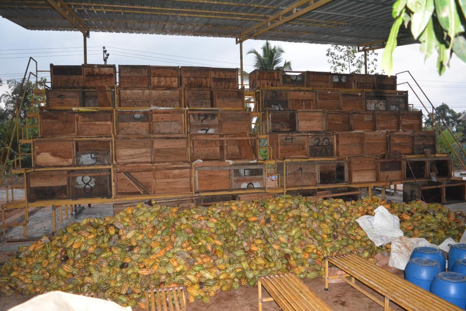 Solmelu Stays Bed and Breakfast in Karnataka