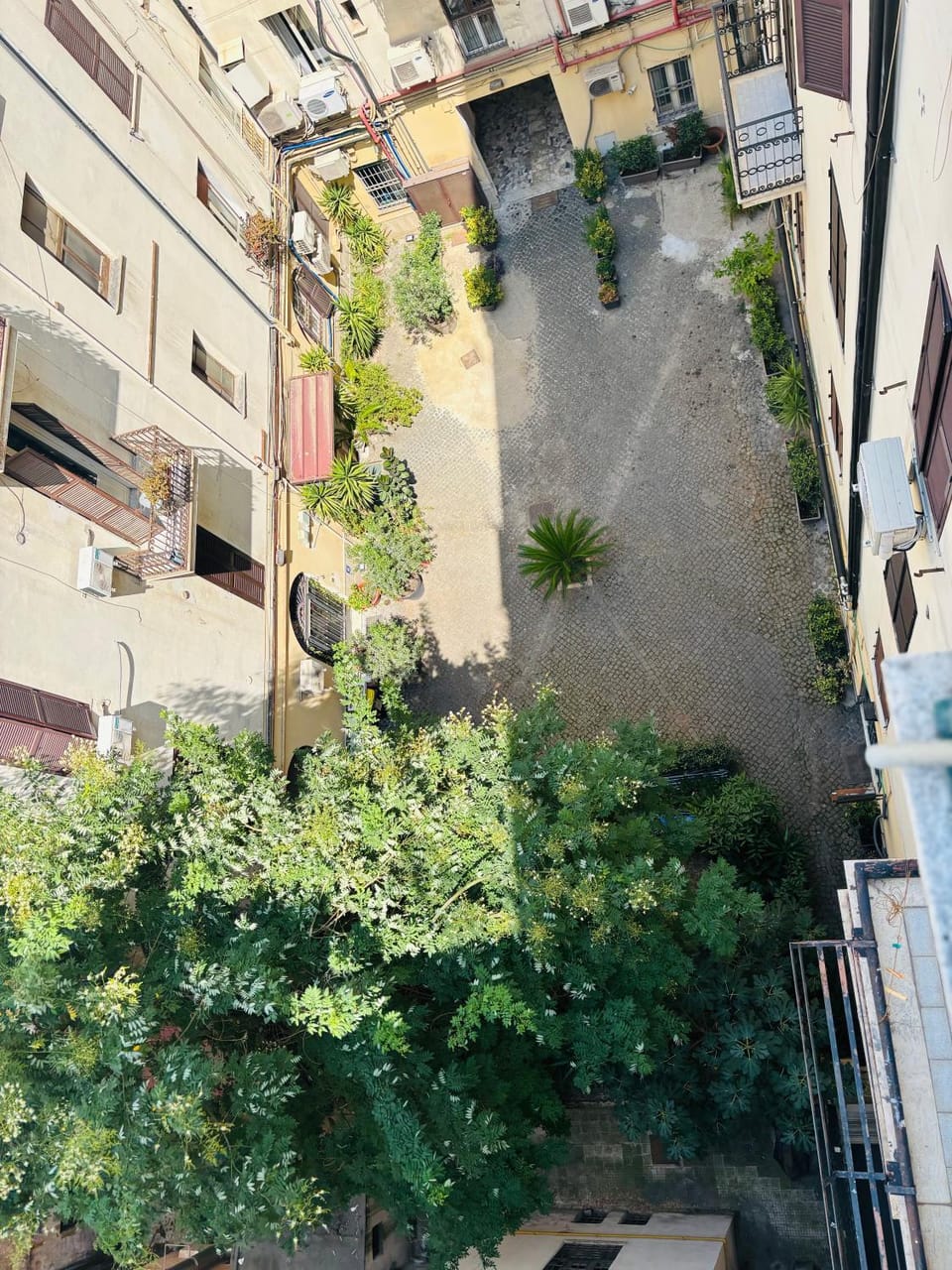 Property building, Neighbourhood, Garden, Garden view