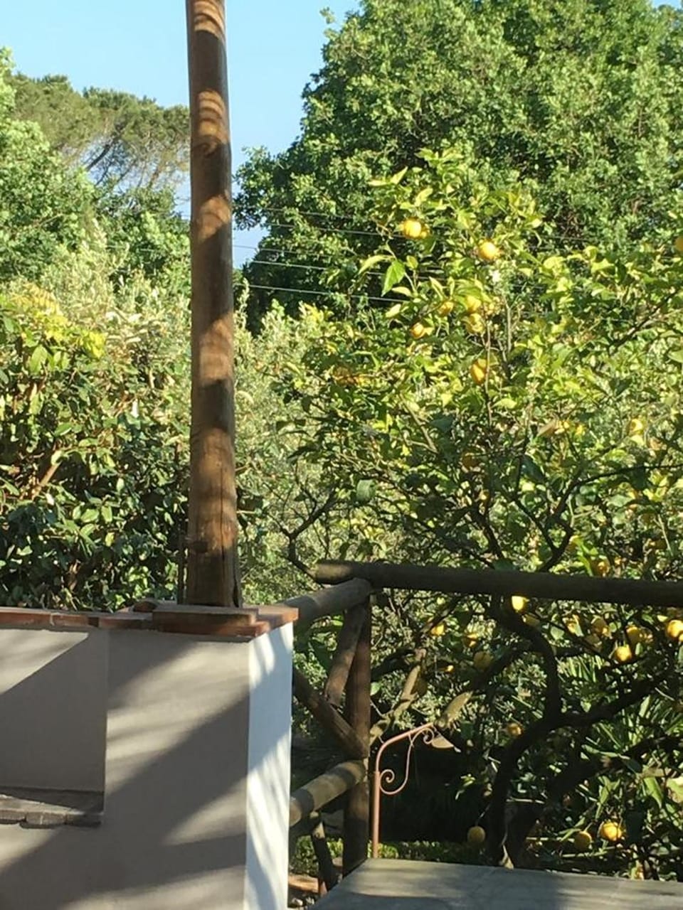 Garden view
