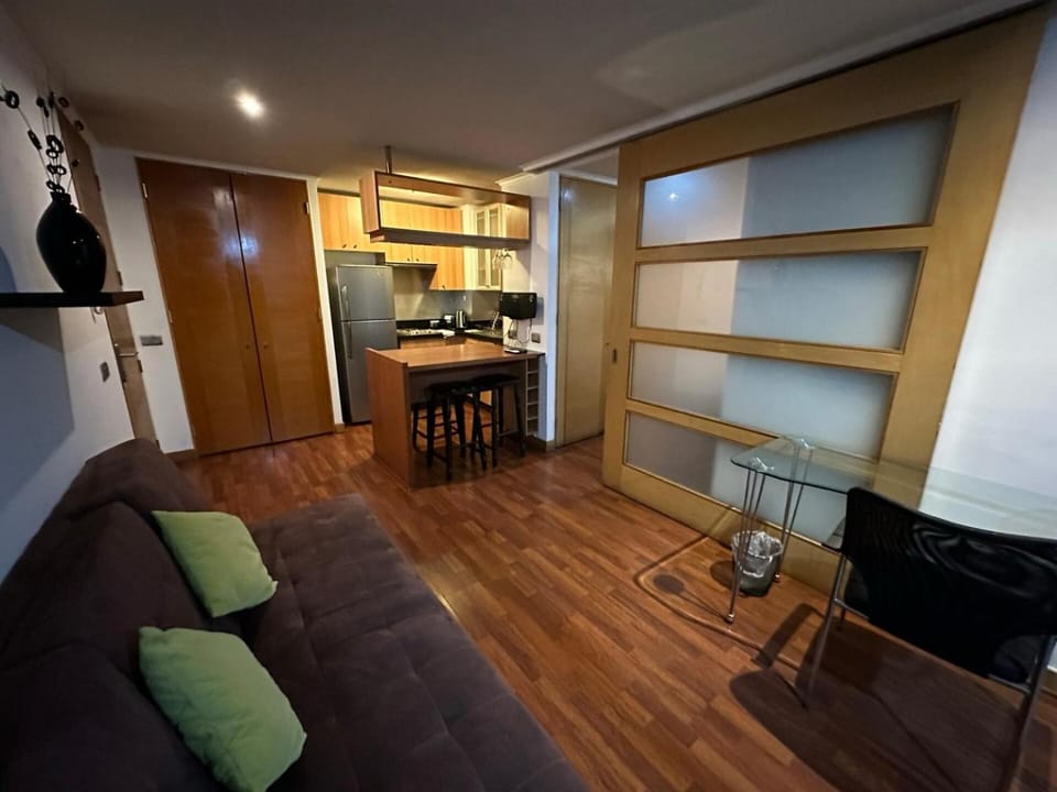 Beautiful Mountain Range View Apartment in Providencia