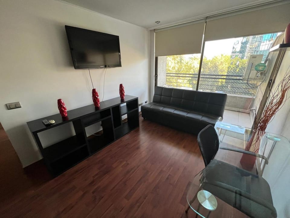 Very Comfortable Apartment Apartment in Providencia