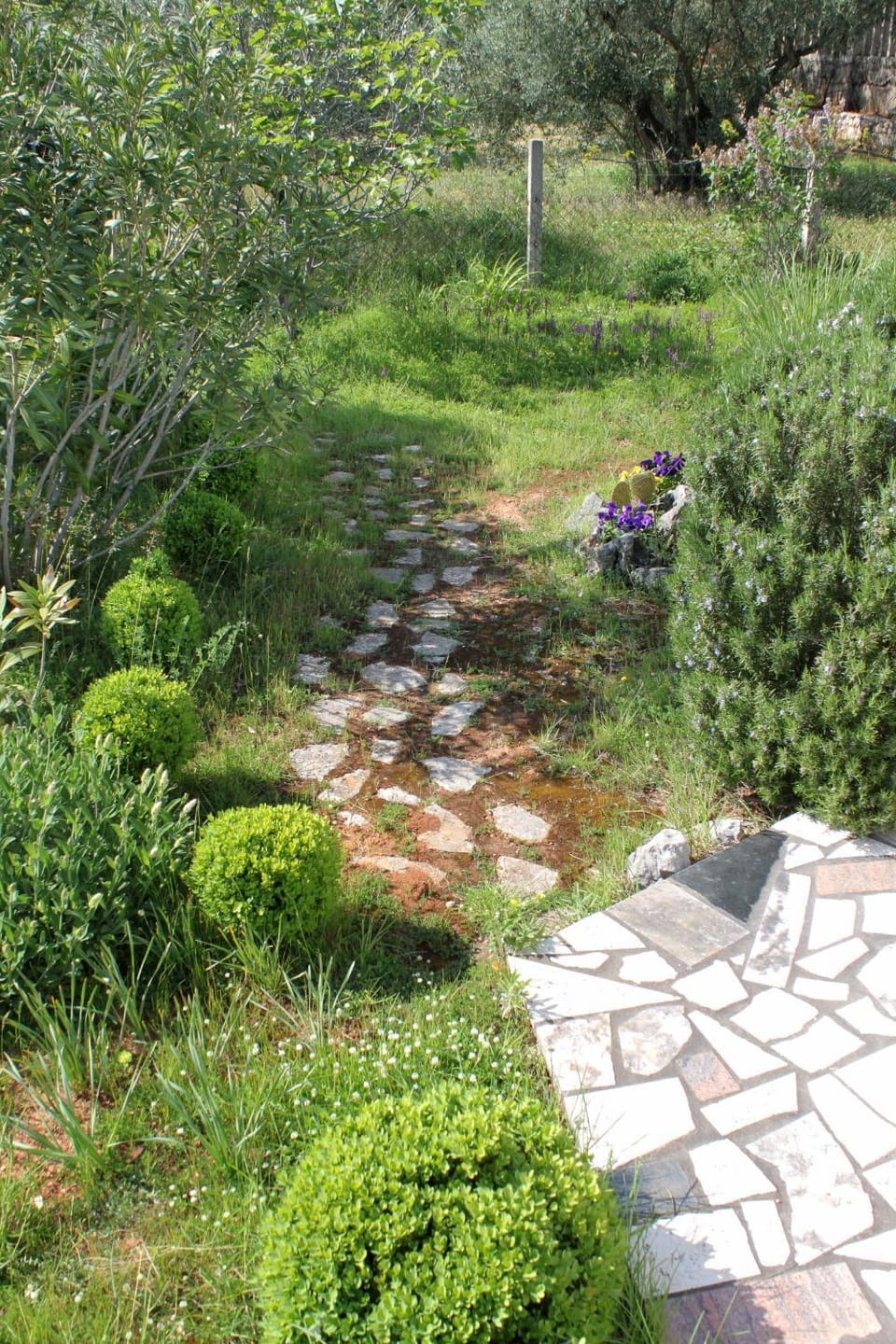 Location, children, Family