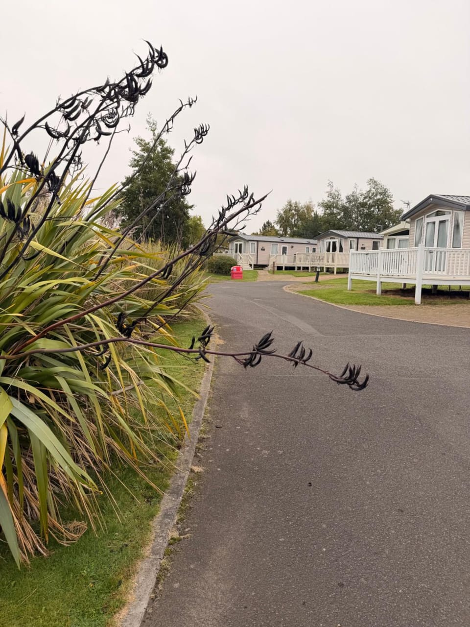 Seaton Sands, The Snug, No 7, Kilspindie House in Scotland