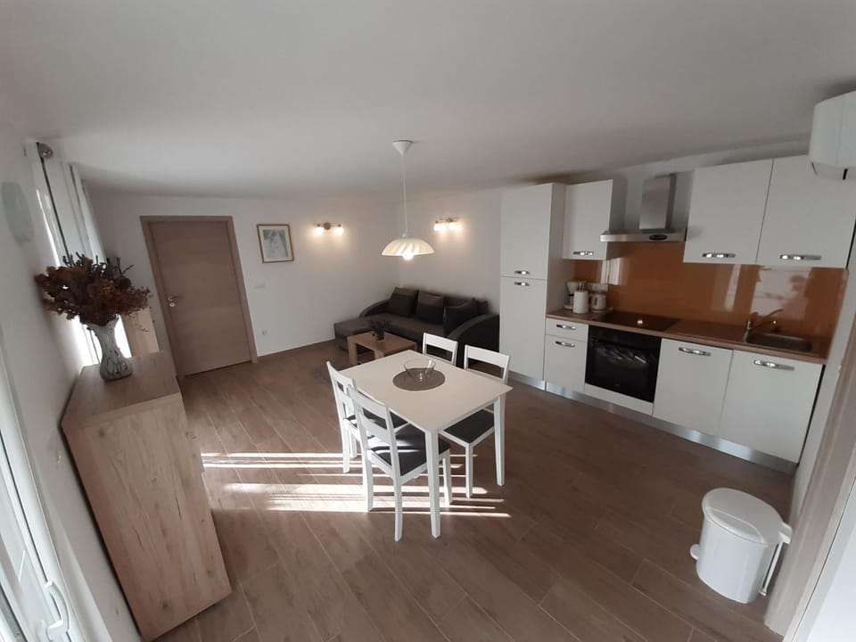 Kitchen or kitchenette, Living room, Seating area, Dining area