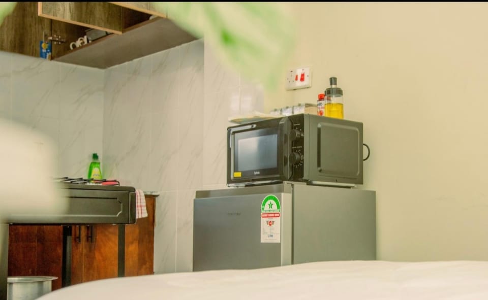Twilight Studio With Free W-IFI And Parking Apartment in Kenya