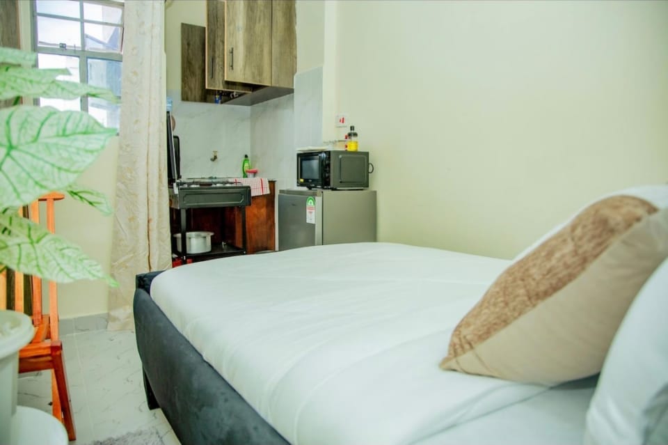 Twilight Studio With Free W-IFI And Parking Apartment in Kenya