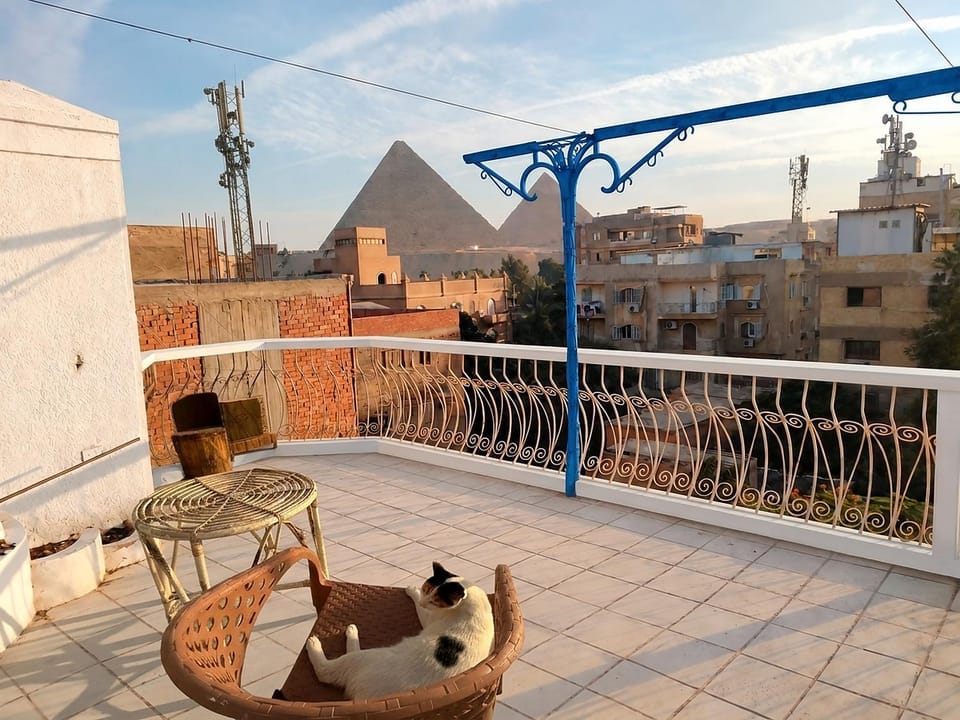 View (from property/room)