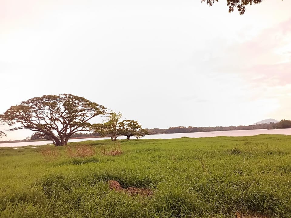 Lakes Edge Eco Yudaganawa Campground/ 
RV Resort in Uva Province, Sri Lanka