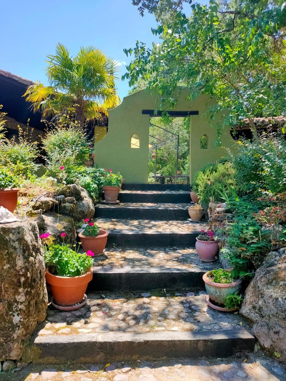 Property building, Garden, Garden view