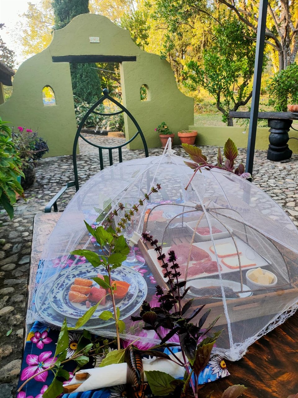 Patio, Garden, Dining area, Garden view, Breakfast