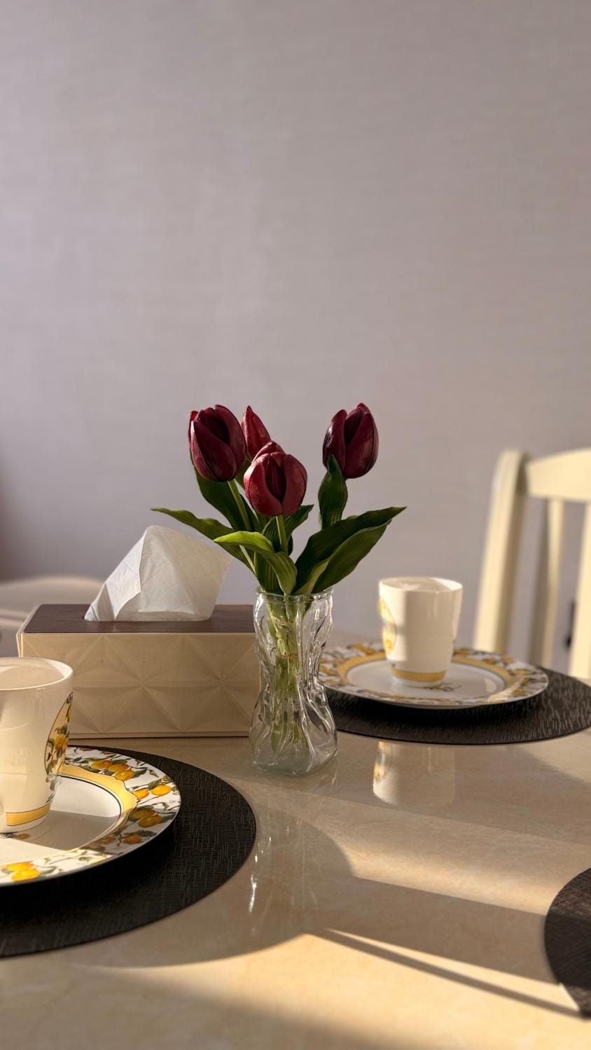 Osh Royal Suites Apartment in Europe