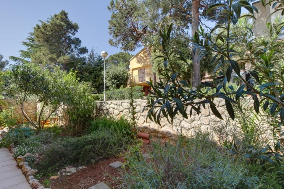Location, children, Family