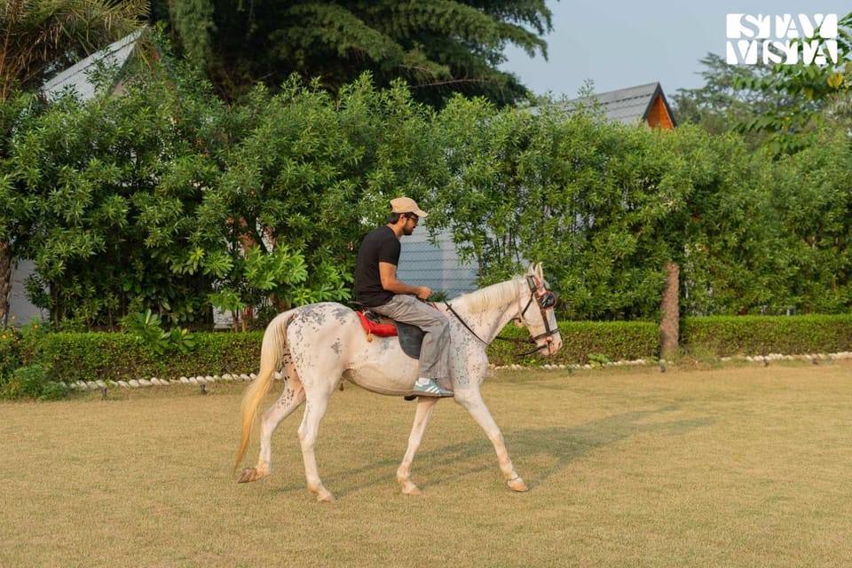 Horse-riding