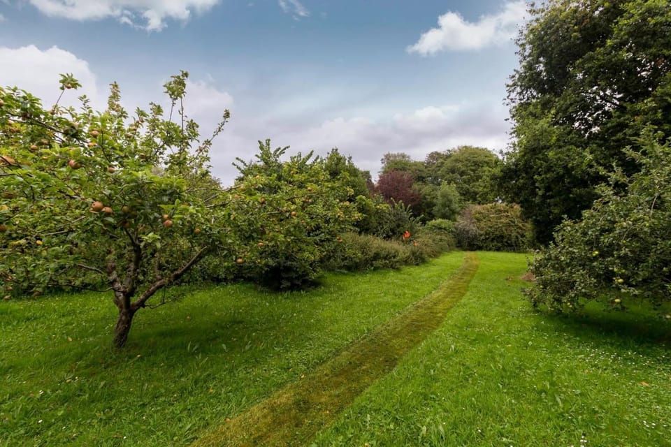 Patio, Garden, Garden view