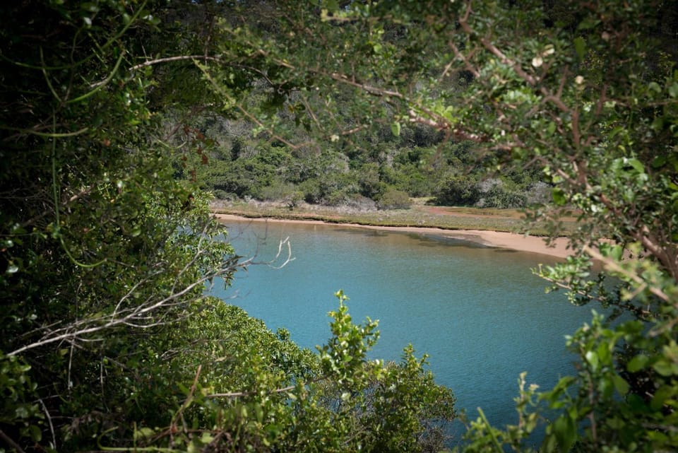 River view