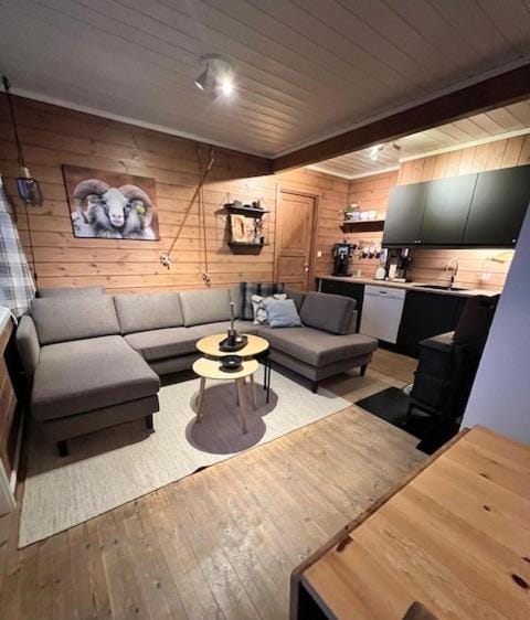 Voss Resort self-service apartments Apartment in Vestland