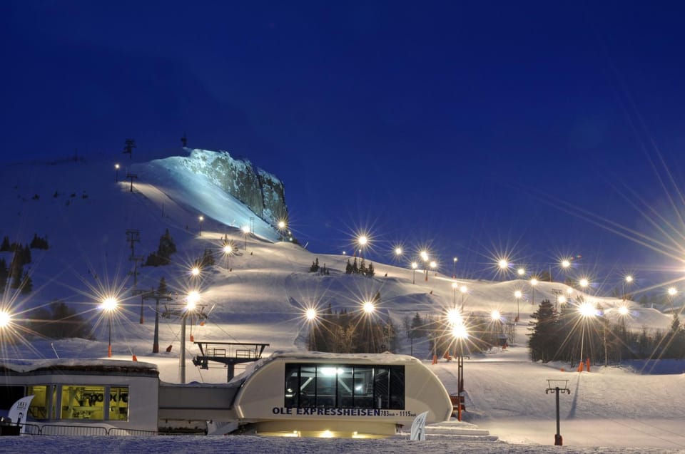 Neighbourhood, Winter, Skiing