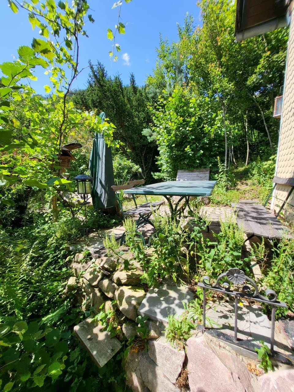 Balcony/Terrace, Garden view