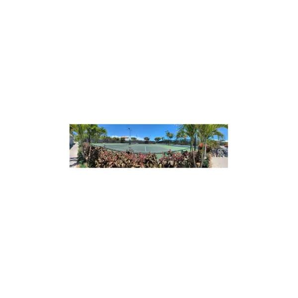 Tennis court