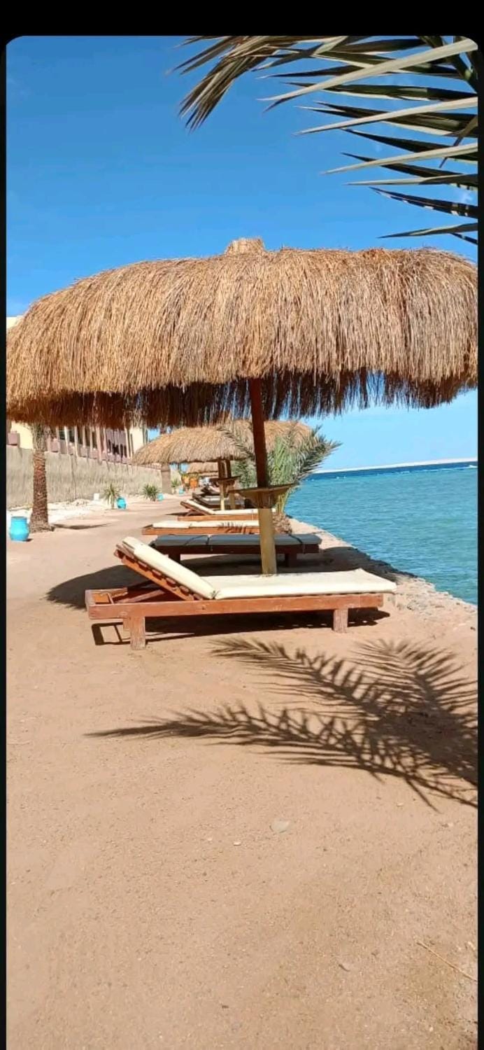 Bright Studio for 4 Tiba Golden Hurghada Apartment in Hurghada