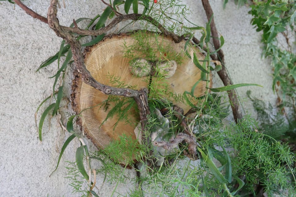 Location, children, Family