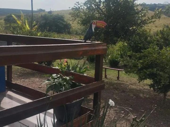 Recanto Pachamama Harmonia Cabin Cabin in State of São Paulo