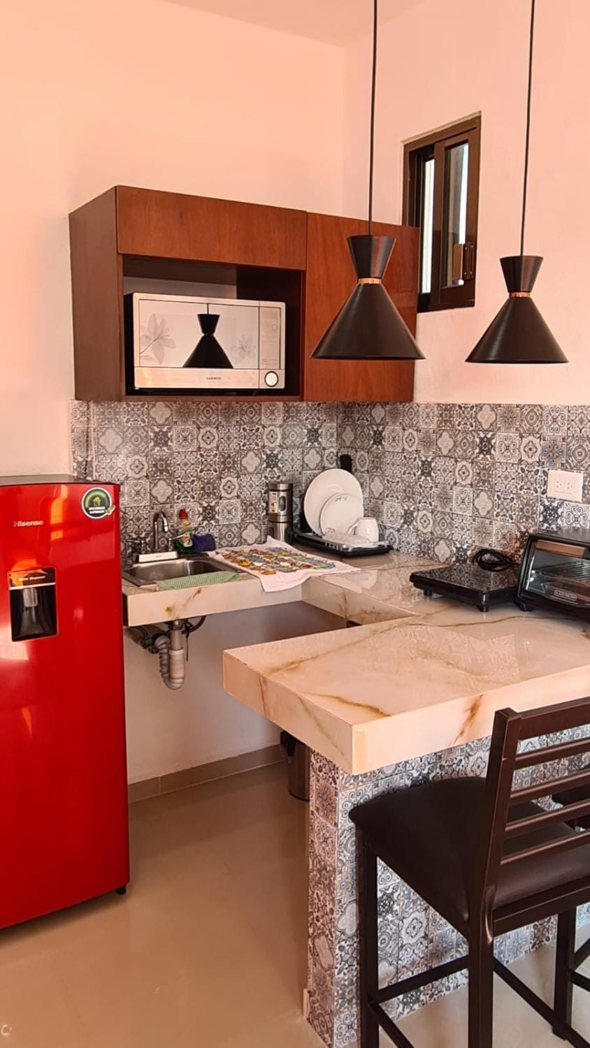 D2 Nice and cozy with a pool and beautiful terrace Apartment in Progreso