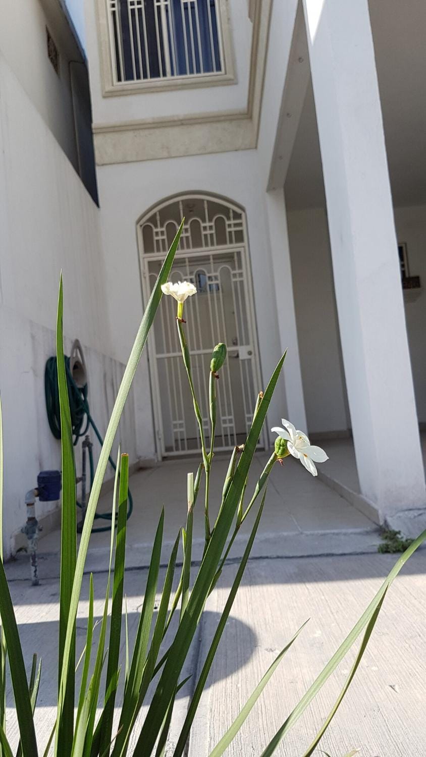 Monterrey Home close to Fundidora Park House in Monterrey