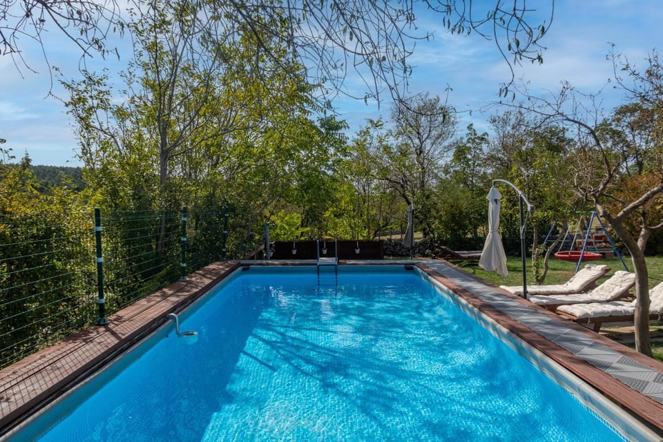 Day, Natural landscape, Garden, Swimming pool, sunbed