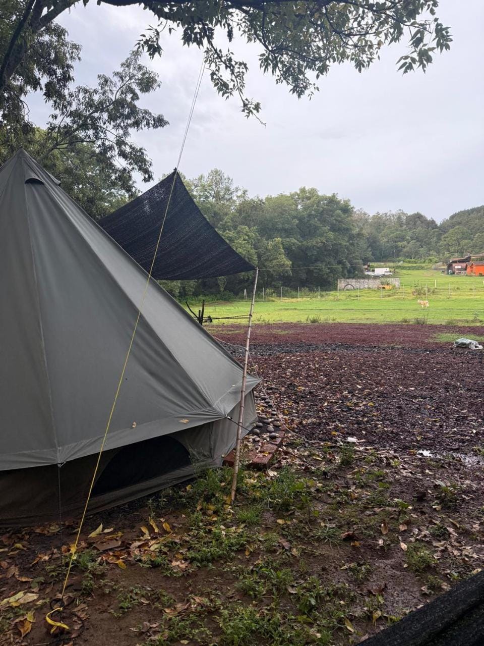 Glamping en la mejor zona de Patzcuaro Luxury tent in State of Michoacán